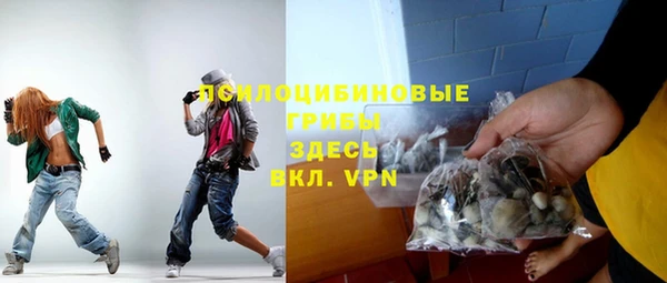 прущие крисы Верея